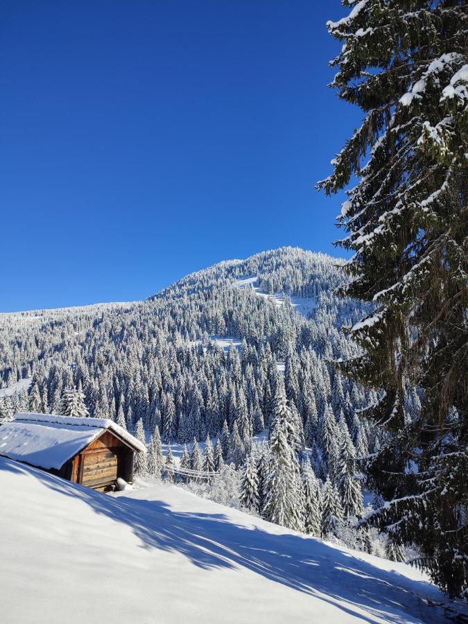 Koliba Marijanovic Vila Andrijevica Exterior foto